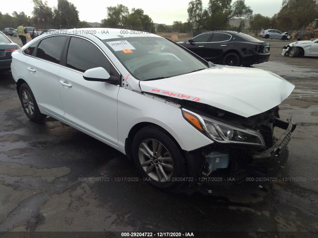 HYUNDAI SONATA 2015 5npe24af1fh250692