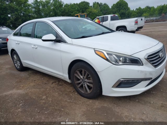 HYUNDAI SONATA 2015 5npe24af1fh258324