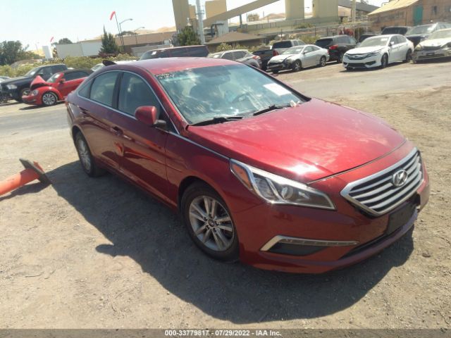 HYUNDAI SONATA 2015 5npe24af1fh258341