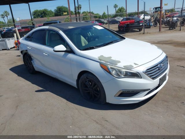 HYUNDAI SONATA 2015 5npe24af1fh259974