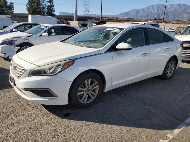 HYUNDAI SONATA SE 2016 5npe24af1gh260592