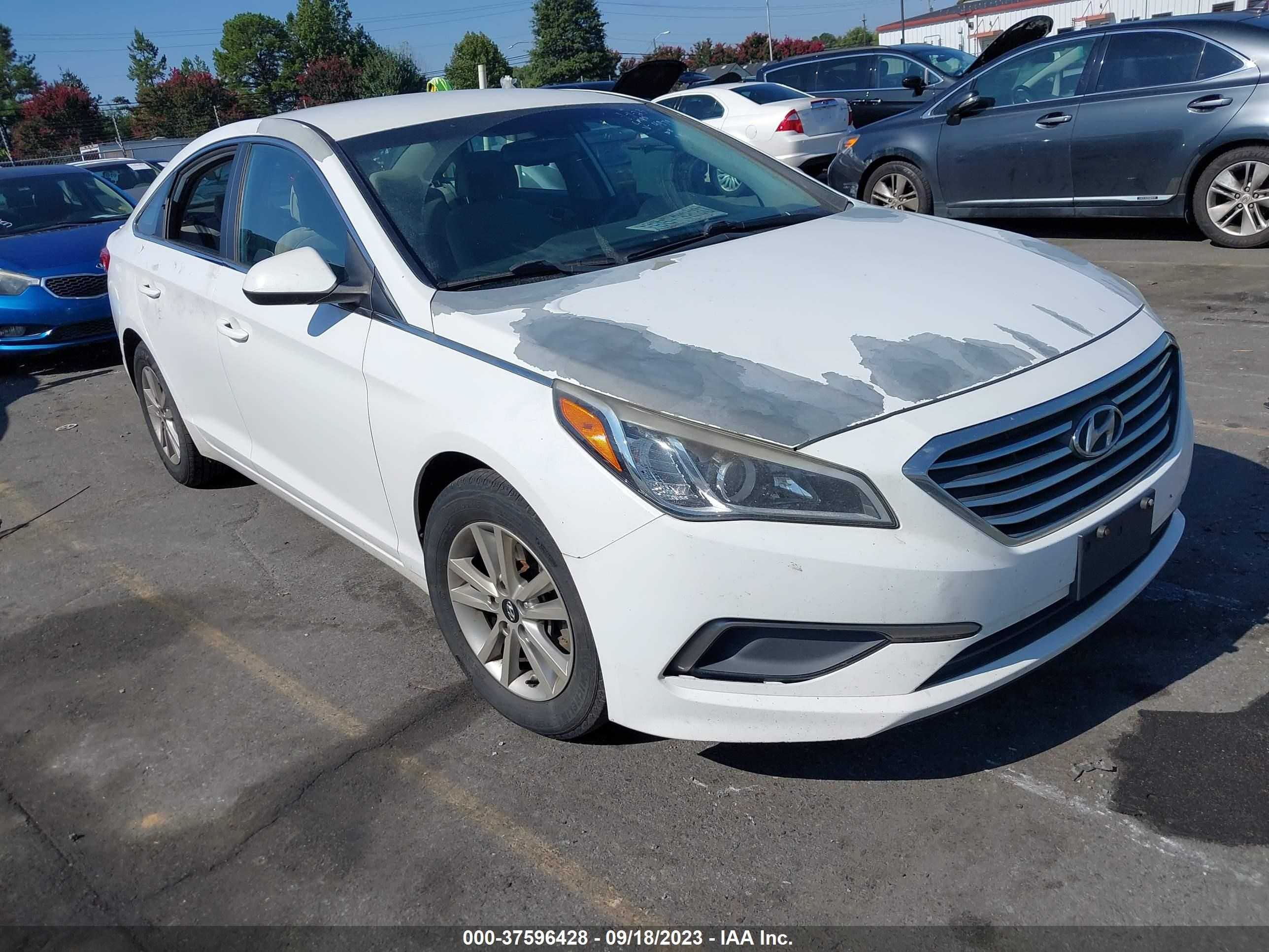 HYUNDAI SONATA 2016 5npe24af1gh264979