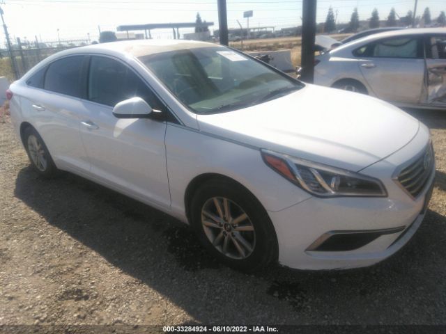 HYUNDAI SONATA 2016 5npe24af1gh266876