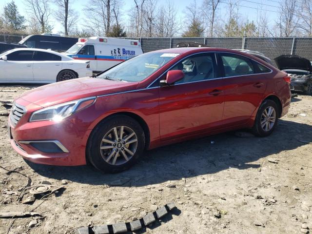 HYUNDAI SONATA SE 2016 5npe24af1gh275206