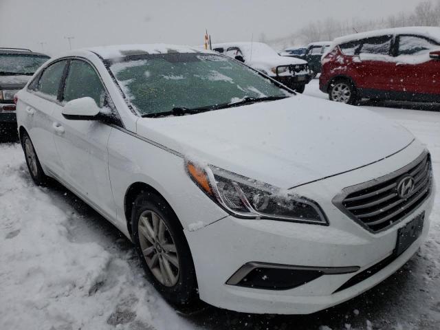 HYUNDAI SONATA SE 2016 5npe24af1gh277358