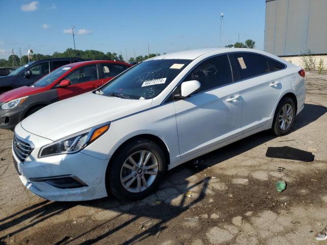 HYUNDAI SONATA 2016 5npe24af1gh278137