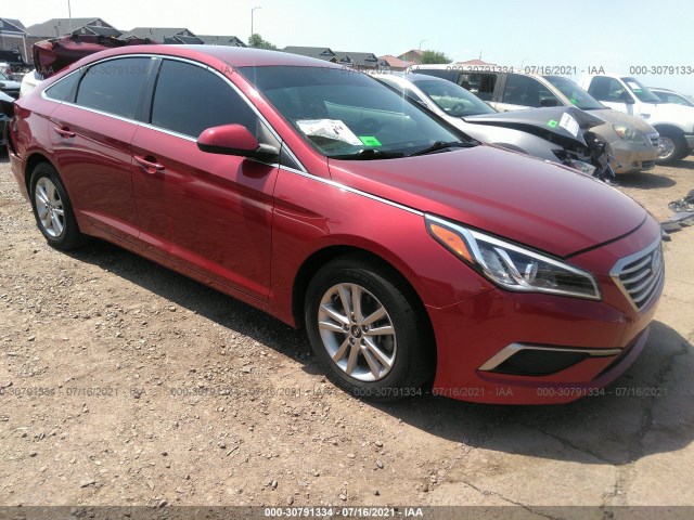 HYUNDAI SONATA 2016 5npe24af1gh282043