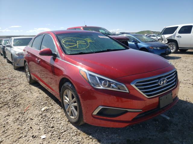 HYUNDAI SONATA SE 2016 5npe24af1gh282527