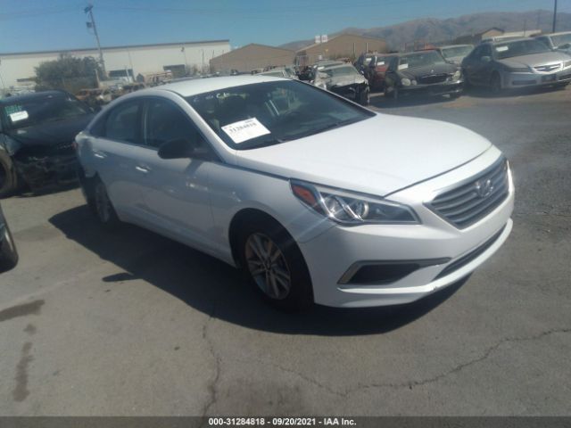 HYUNDAI SONATA 2016 5npe24af1gh284746