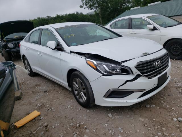 HYUNDAI SONATA 2016 5npe24af1gh290353