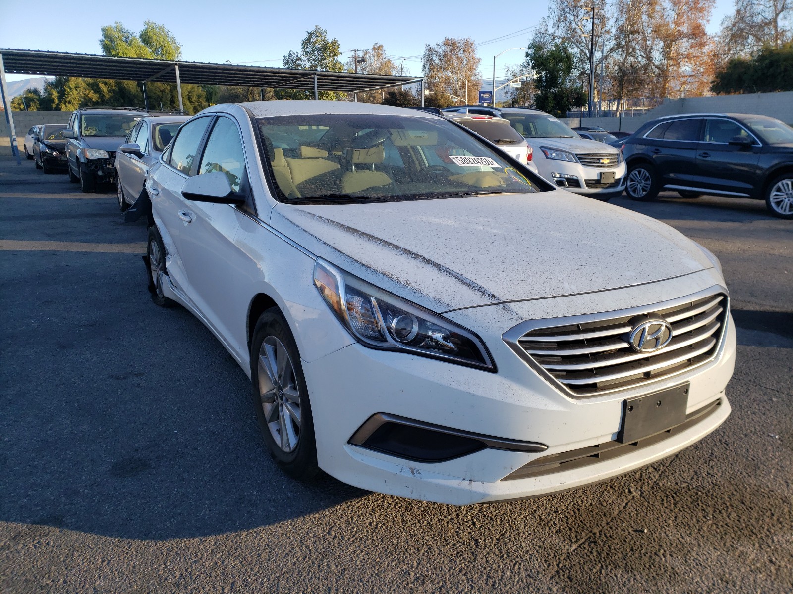 HYUNDAI SONATA SE 2016 5npe24af1gh296296