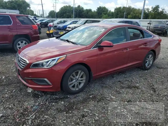 HYUNDAI SONATA 2016 5npe24af1gh299277