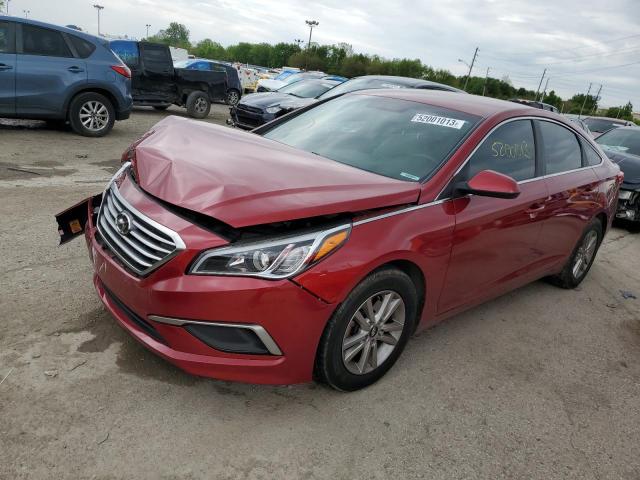 HYUNDAI SONATA 2016 5npe24af1gh302257