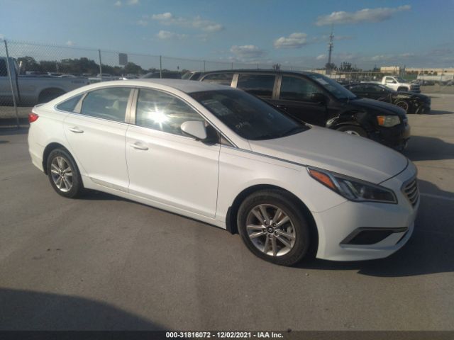 HYUNDAI SONATA 2016 5npe24af1gh312688