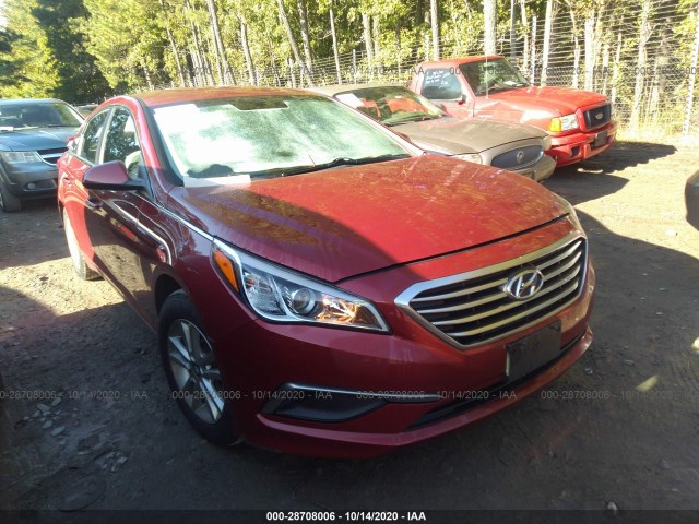 HYUNDAI SONATA 2016 5npe24af1gh316157