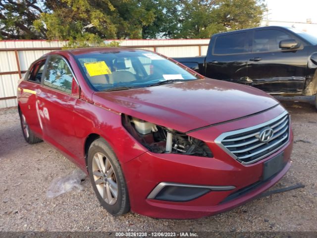 HYUNDAI SONATA 2016 5npe24af1gh319883