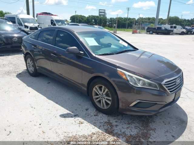 HYUNDAI SONATA 2016 5npe24af1gh319950