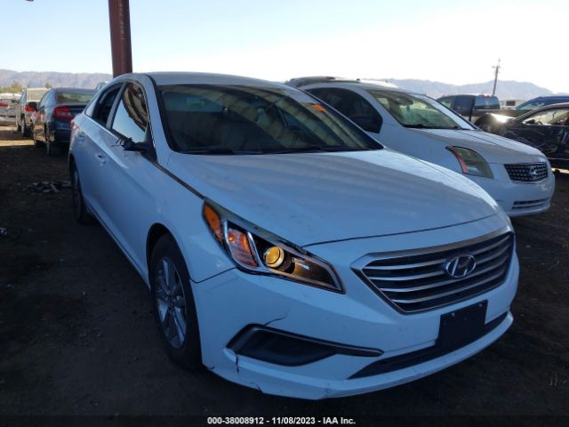 HYUNDAI SONATA 2016 5npe24af1gh321066