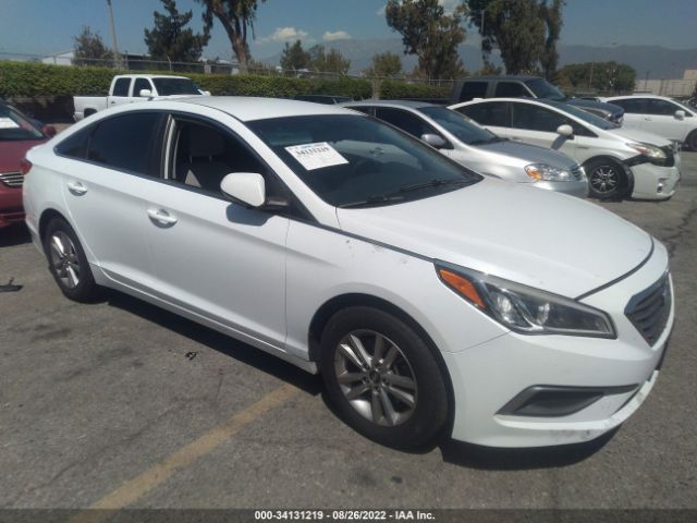 HYUNDAI SONATA 2016 5npe24af1gh326073