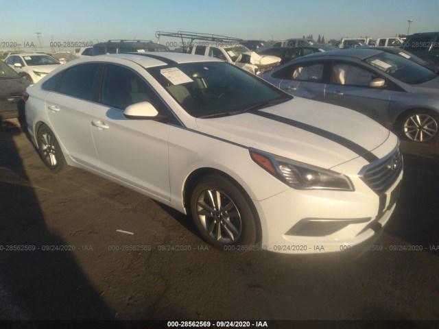 HYUNDAI SONATA 2016 5npe24af1gh334982