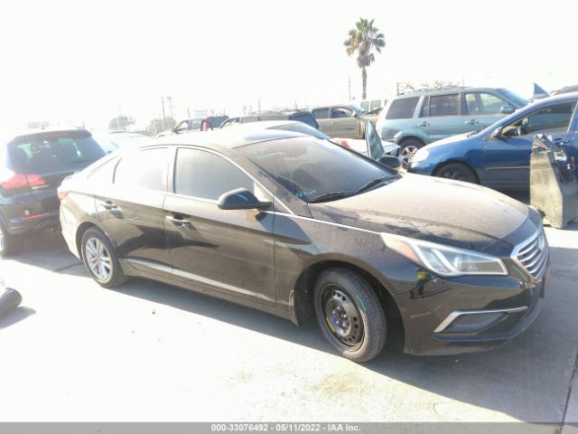 HYUNDAI SONATA 2016 5npe24af1gh336392