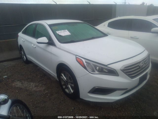 HYUNDAI SONATA 2016 5npe24af1gh340426