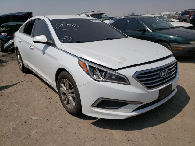 HYUNDAI SONATA SE 2016 5npe24af1gh341513