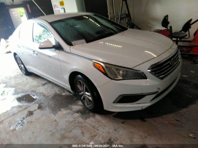 HYUNDAI SONATA 2016 5npe24af1gh348459