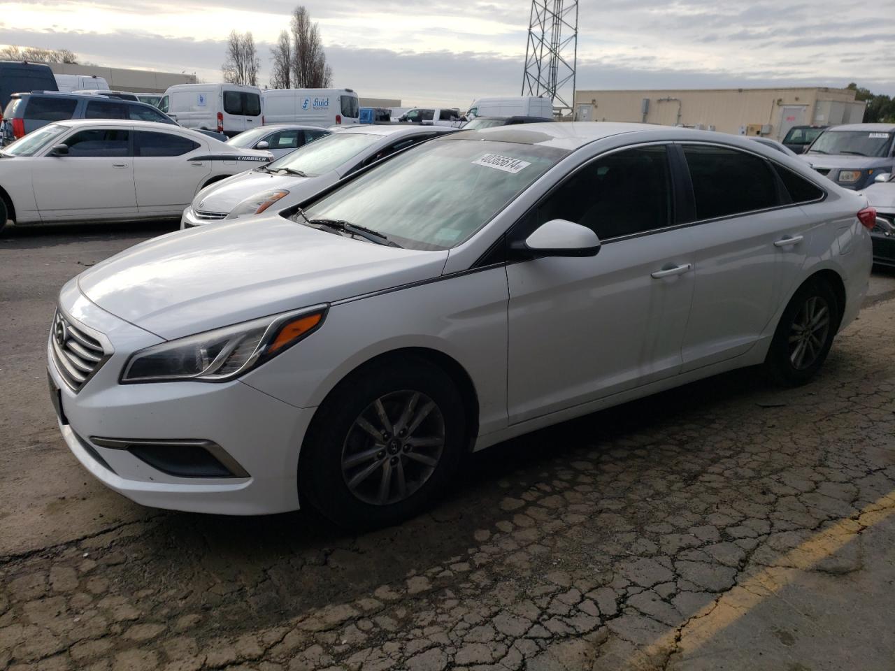 HYUNDAI SONATA 2016 5npe24af1gh349496