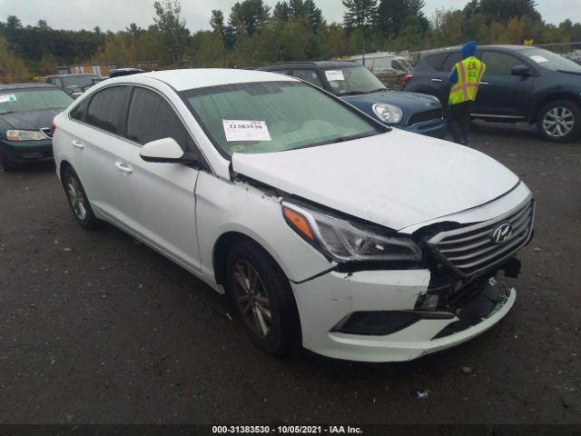 HYUNDAI SONATA 2016 5npe24af1gh350809