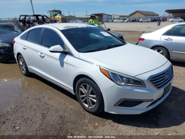 HYUNDAI SONATA 2016 5npe24af1gh353757