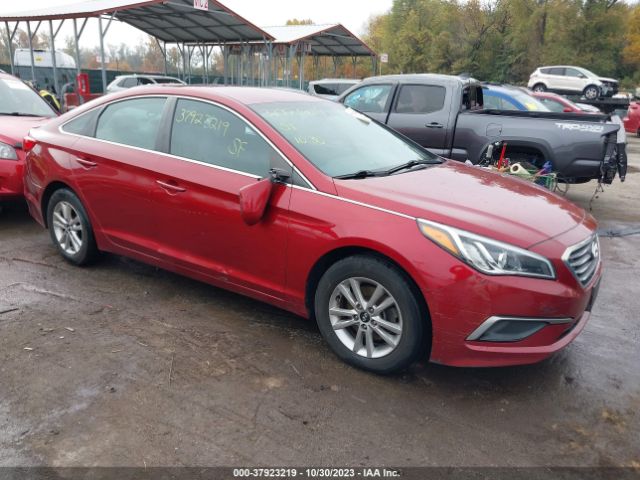 HYUNDAI SONATA 2016 5npe24af1gh357193