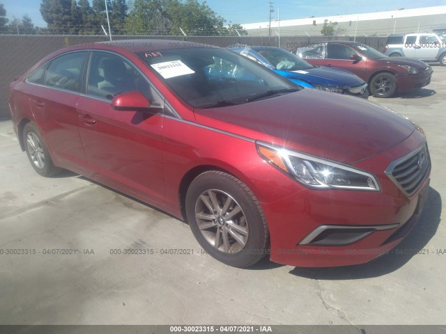 HYUNDAI SONATA 2016 5npe24af1gh359137