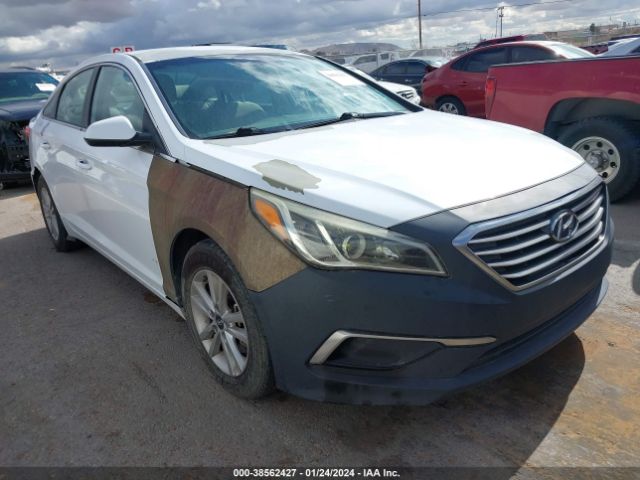 HYUNDAI SONATA 2016 5npe24af1gh369022