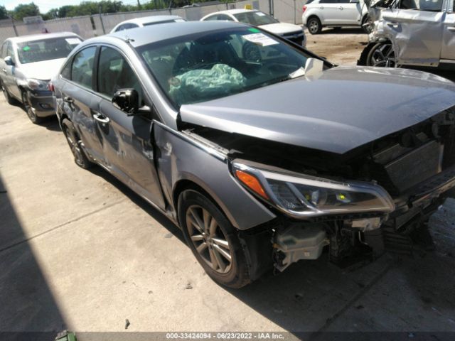 HYUNDAI SONATA 2016 5npe24af1gh369909