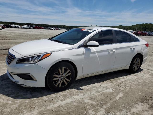 HYUNDAI SONATA SE 2016 5npe24af1gh370249