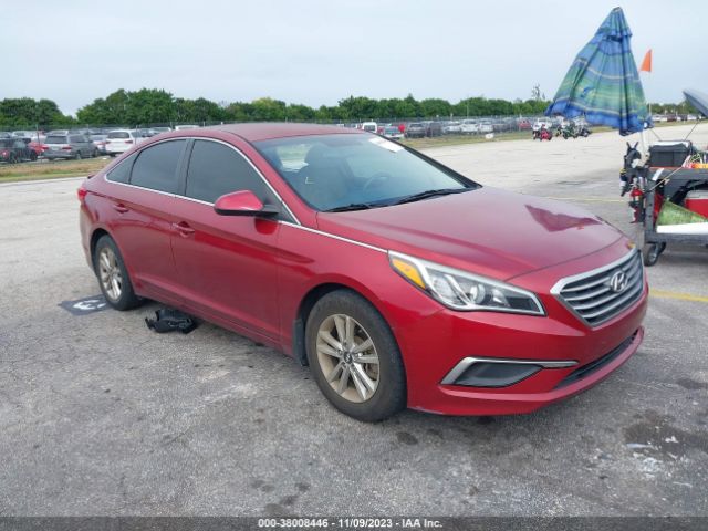 HYUNDAI SONATA 2016 5npe24af1gh380909