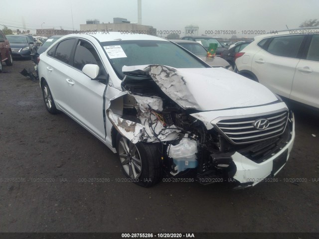 HYUNDAI SONATA 2016 5npe24af1gh383244