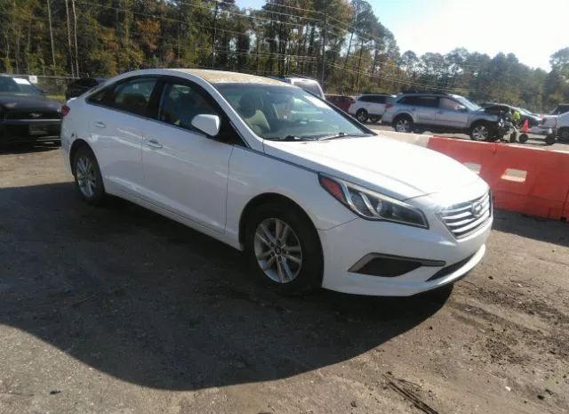 HYUNDAI SONATA 2016 5npe24af1gh384376