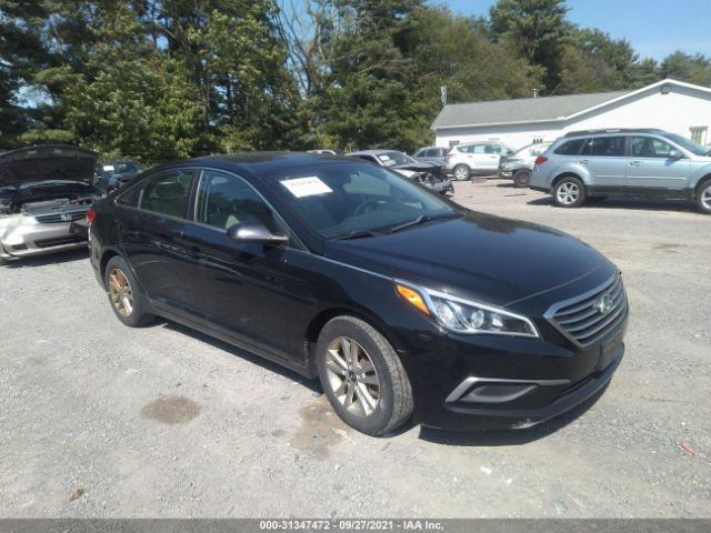 HYUNDAI SONATA 2016 5npe24af1gh384846