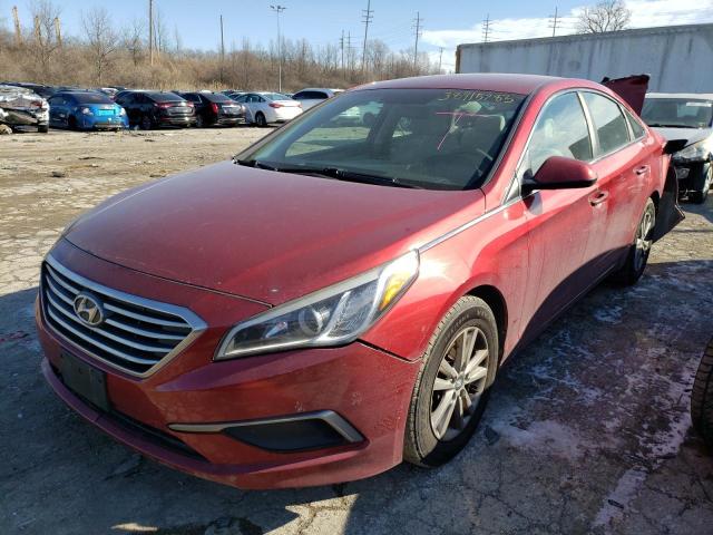 HYUNDAI SONATA 2016 5npe24af1gh393966