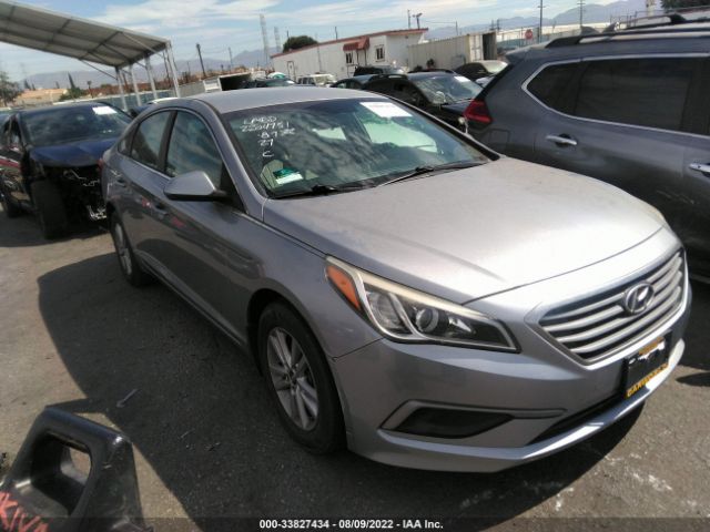 HYUNDAI SONATA 2016 5npe24af1gh399931