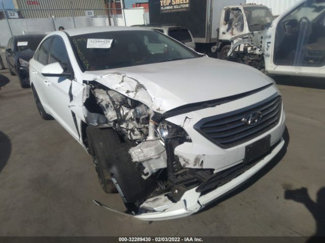 HYUNDAI SONATA 2016 5npe24af1gh400429