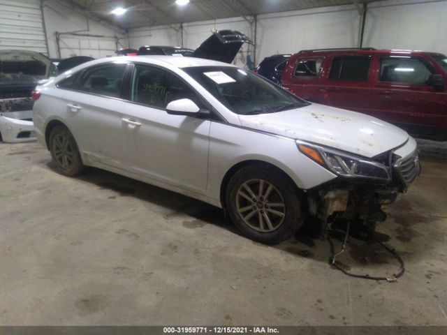 HYUNDAI SONATA 2016 5npe24af1gh405131