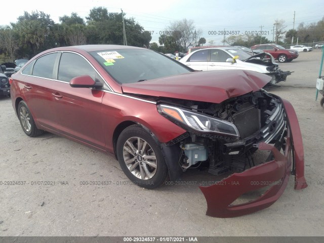 HYUNDAI SONATA 2016 5npe24af1gh405257