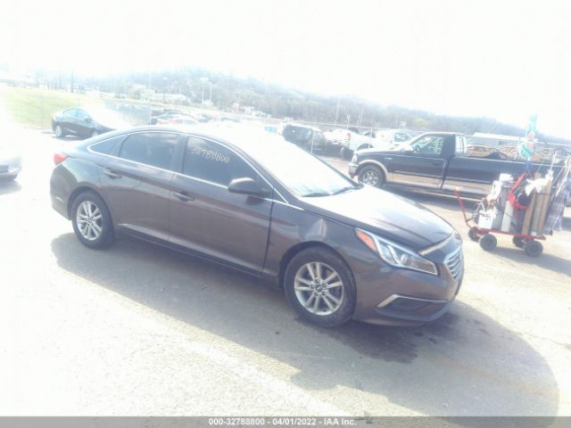 HYUNDAI SONATA 2016 5npe24af1gh419126