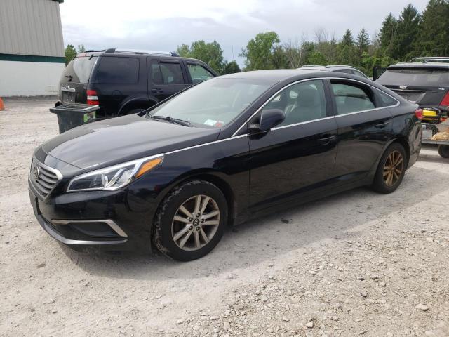 HYUNDAI SONATA SE 2016 5npe24af1gh426044