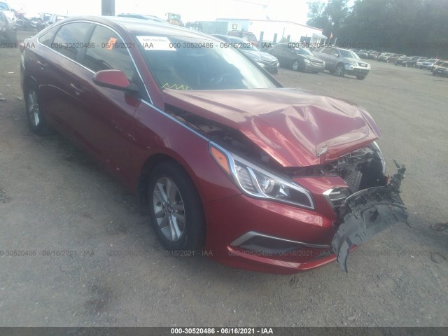 HYUNDAI SONATA 2016 5npe24af1gh429378