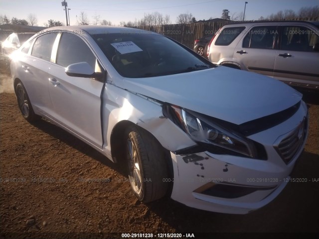 HYUNDAI SONATA 2017 5npe24af1hh451236