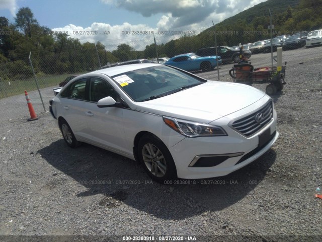 HYUNDAI SONATA 2017 5npe24af1hh454170